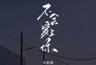 苏星婕《不会爱上你》[无损flac|320K高品质MP3]网盘下载