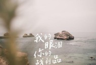 于冬然《我的眼泪你的战利品》[无损flac|320K高品质MP3]网盘下载