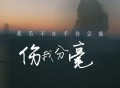 大美《我若不在乎你怎能伤我分毫》[FLAC/MP3-320K]网盘下载