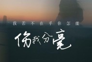 大美《我若不在乎你怎能伤我分毫》[FLAC/MP3-320K]网盘下载