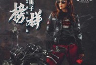 龙梅子2017年专辑《榜样》[无损flac]网盘下载