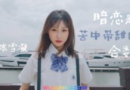 陈雪凝《暗恋是苦中带甜的合数》[无损flac]网盘下载