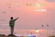 杨友友《野花做了场玫瑰花的梦》[无损flac]网盘下载
