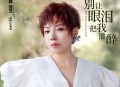 魏佳艺《别让眼泪把我灌醉》[无损flac|320K高品质MP3]网盘下载