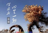 云朵《你来我心里一趟》[无损flac]网盘下载