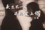 王娜《来生不一定还能爱上你》[FLAC/MP3-320K]网盘下载