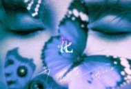 张远《万花筒》[FLAC/MP3-320K]网盘下载