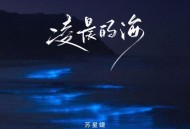 苏星婕《凌晨的海》[FLAC/MP3-320K]网盘下载