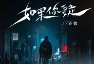 苍狼《如果你要走》[无损flac|320K高品质MP3]网盘下载