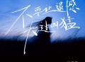 向思思《不要让遗憾太过凶猛》[FLAC/MP3-320K]网盘下载