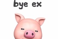 陈雪凝《你好前任》[无损flac]网盘下载