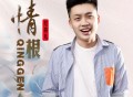 红孩儿《情根》[FLAC/MP3-320K]网盘下载