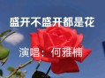 何雅楠《盛不盛开都是花》[无损flac]网盘下载
