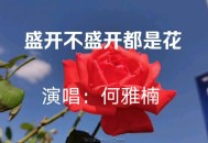 何雅楠《盛不盛开都是花》[无损flac]网盘下载