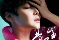 魏佳艺《黄昏》[FLAC/MP3-320K]网盘下载