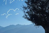 龚琳娜《来自云的风》[无损FLAC|320K高品质MP3]网盘下载