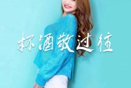 苏谭谭《杯酒敬过往》[FLAC/MP3-320K]网盘下载