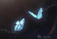 那英、张岭《如果不能说爱你》[无损flac|320K高品质MP3]网盘下载