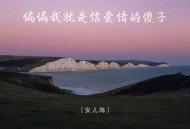安儿陈《偏偏我就是信爱情的傻子》[FLAC/MP3-320K]网盘下载