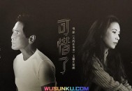 齐秦&莫文蔚《可惜了》[无损flac]网盘下载