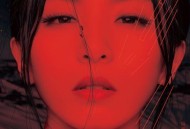 田馥甄2013年专辑《渺小》[无损flac|320K高品质MP3]网盘下载