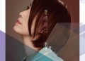 李翊君2017年专辑《爱情路口》[无损flac|320K高品质MP3]网盘下载
