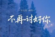 安儿陈《不再讨好你》[FLAC/MP3-320K]网盘下载