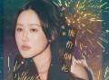 王唯旖《廉价烟花》[FLAC/MP3-320K]网盘下载