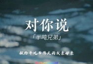 半吨兄弟《对你说》[无损flac]网盘下载