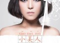 崔子格2013年专辑《小美人》[无损flac]网盘下载