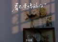 苏星婕《看不透你的心》[FLAC/MP3-320K]网盘下载