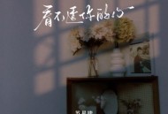 苏星婕《看不透你的心》[FLAC/MP3-320K]网盘下载