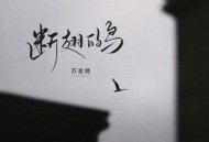 苏星婕《断翅的鸟》[无损flac|320K高品质MP3]网盘下载