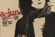 谢军2005年专辑《那一夜》[无损flac|320K高品质MP3]网盘下载