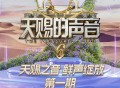 天赐的声音第六季第1期[FLAC/MP3-320K]网盘下载