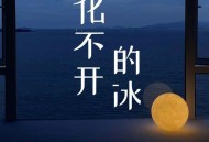 阿国哥《化不开的冰 (粤语版)》[FLAC/MP3-320K]网盘下载