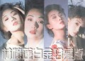 林忆莲1989年专辑《林忆莲白金珍藏版》[无损flac|320K高品质MP3]网盘下载