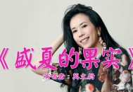 莫文蔚《盛夏的果实》[无损flac]网盘下载