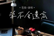 苍狼《学不会遗忘》[无损flac|320K高品质MP3]网盘下载