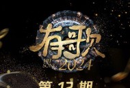 《有歌2024》第12期[无损FLAC|320K高品质MP3]网盘下载