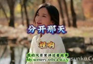 程响《分开那天》[无损flac]网盘下载