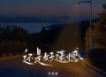 苏星婕《还是好遗憾》[无损flac|320K高品质MP3]网盘下载