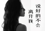 洋澜一《说好的不会离开我》[FLAC/MP3-320K]网盘下载