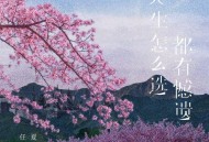 任夏《人生怎么选都有遗憾》[无损flac]网盘下载