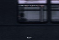 杨小壮《可以爱你也可以再见》[FLAC/MP3-320K]网盘下载