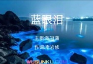 陈冠蒲《蓝眼泪》[无损flac]网盘下载