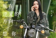 蔡文静《我在逆光的方向想你》[FLAC/MP3-320K]网盘下载