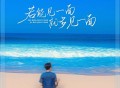 苍狼《若能见一面就多见一面》[FLAC/MP3-320K]网盘下载