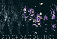 关淑怡2019年专辑《Psychoacoustics》[无损FLAC|320K高品质MP3]网盘下载