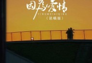 七元《因为爱情(女声版)》[无损flac]网盘下载